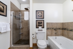Bathroom (Down)