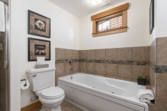 Bathroom (Down)